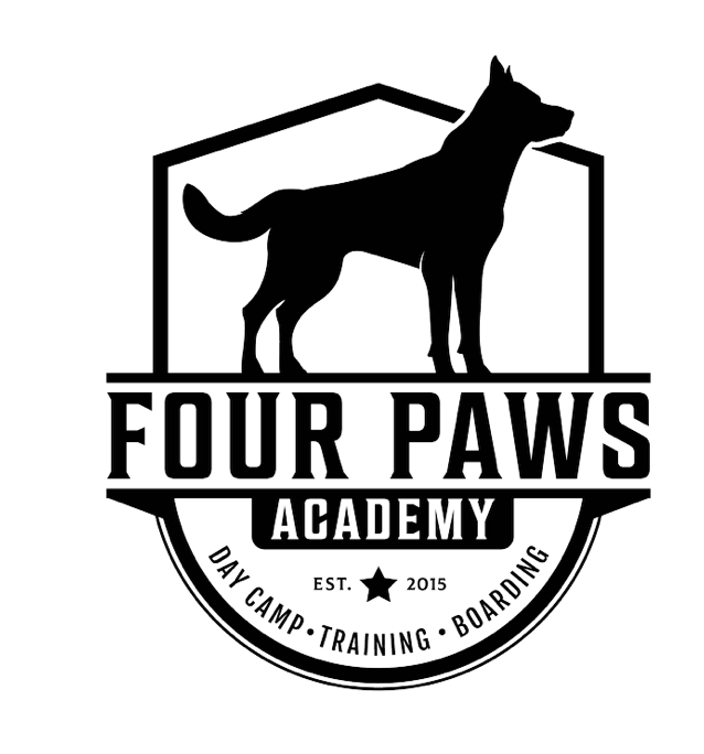 Four Paws Academy For Dogs