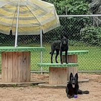 Day Camp
