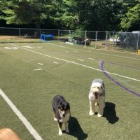 Day Camp