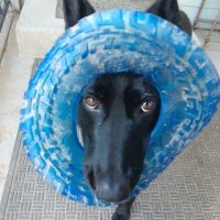 Day Camp fun