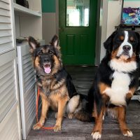 Day Camp