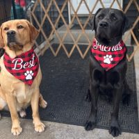 Day Camp