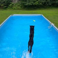 Swimming!