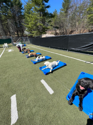 Training