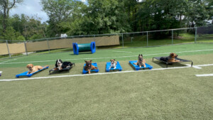 Training