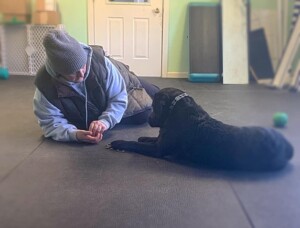 Training